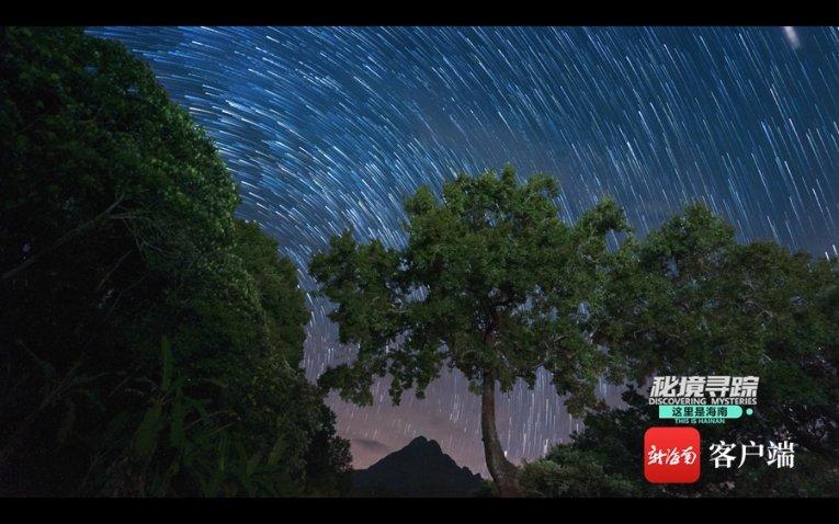 什么样的老鼠不吃米饭脑筋急转弯游戏画面