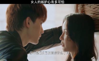 破碎的动物图形3