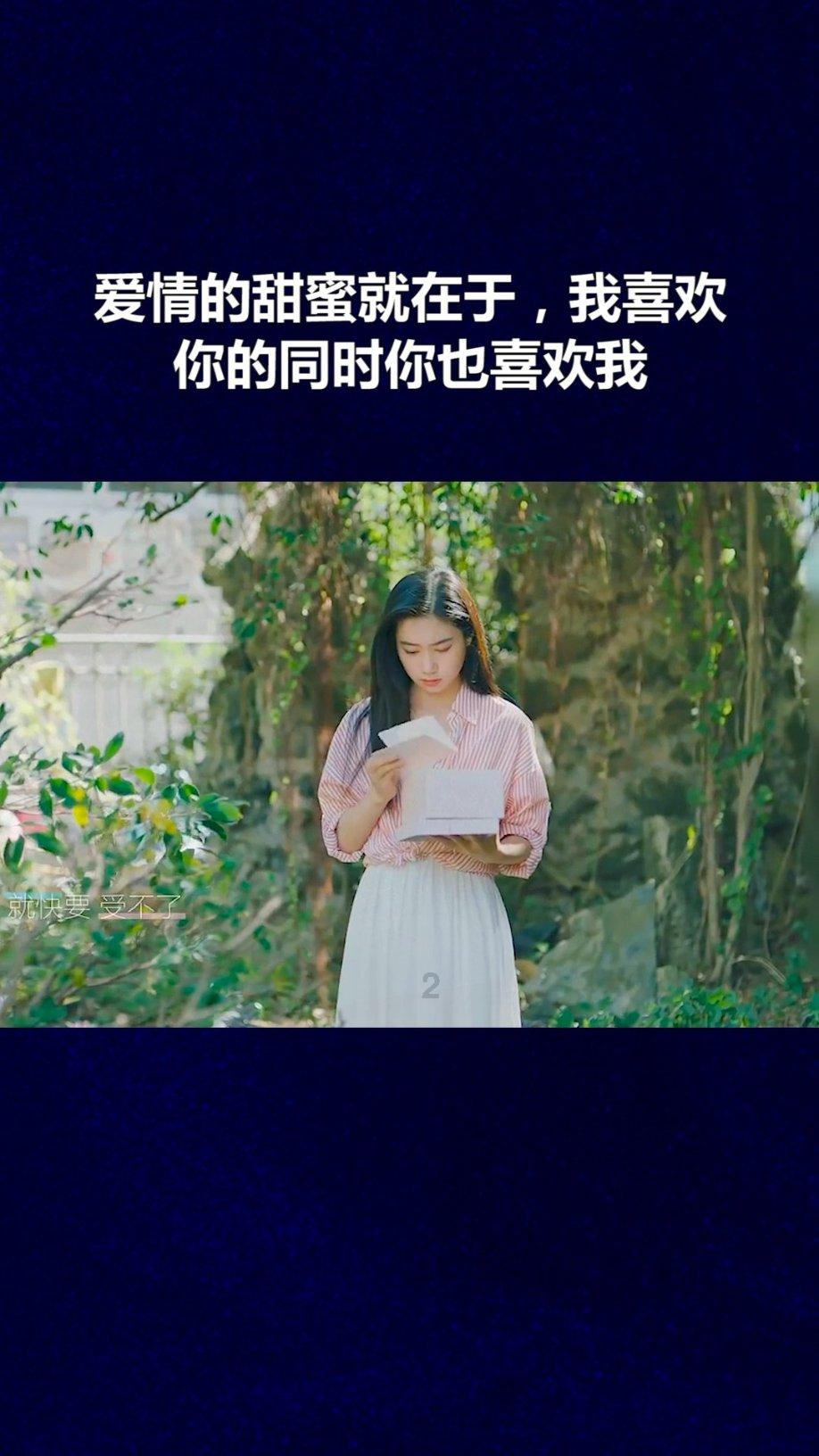 舞熊森林逃生
