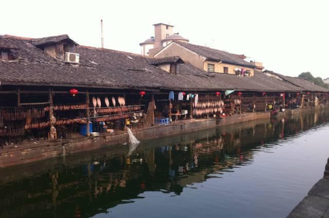 恐龙绝地逃生